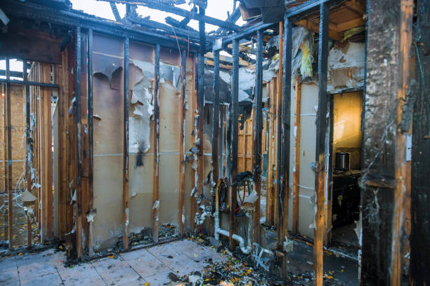 Professional Fire Damage Removal technician working in Glen Arm, MD